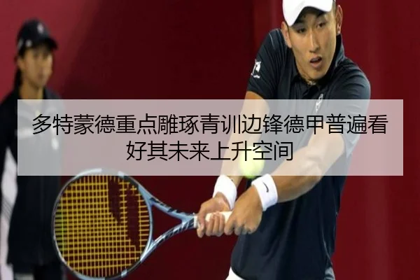 多特蒙德重点雕琢青训边锋德甲普遍看好其未来上升空间